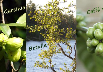 Gli alleati green per ritrovare la linea!