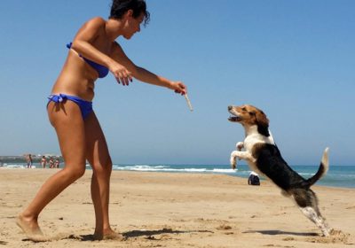 Conosci la Dog dance? Oggi puoi ballare con il tuo cane!