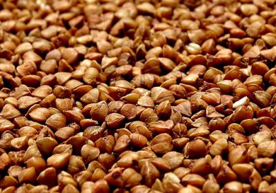 Preziosi alleati per il tuo benessere