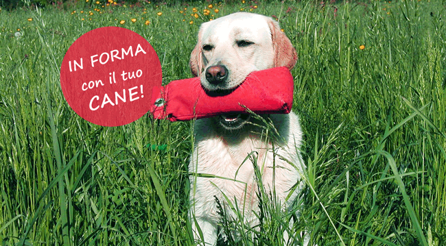 in-forma-con-cane