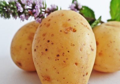 Le patate ci aiutano nella dieta, ecco come!