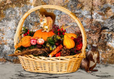 Frutta e verdura d’autunno: benefici e consigli