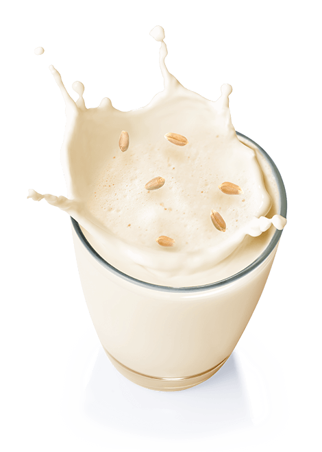 Protein Smoothie – Gusto vaniglia