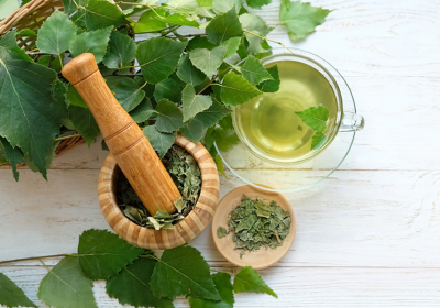 Betulla: l’albero della purezza