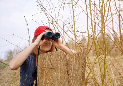 Birdwatching: osservare gli uccelli in mezzo alla natura