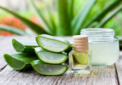 Aloe vera: benefici e proprietà