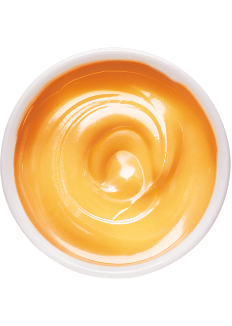 Coppe Gusto Creme Caramel