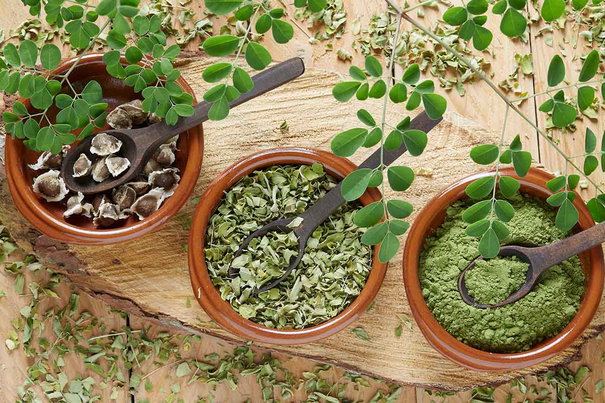 Moringa in foglie sminuzzate, polvere e semi in ciotole di ceramica