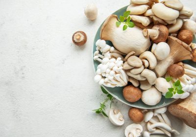 Le principali varietà di funghi commestibili: quali sono?
