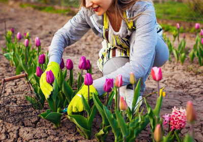 Giardinaggio, per mente e corpo