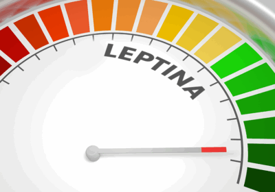 Leptina: cos’è e a cosa serve