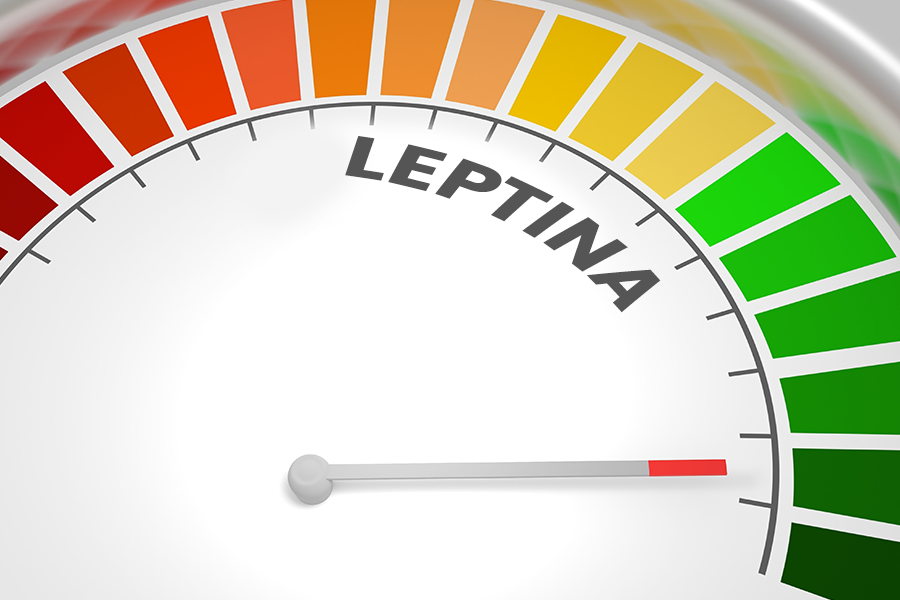 Leptina: cos’è e a cosa serve