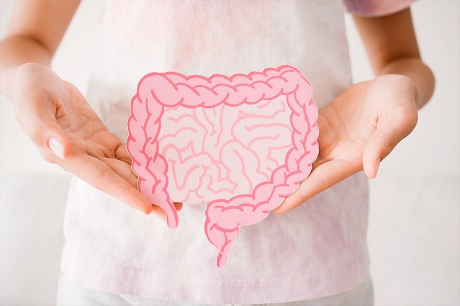 Cos'è il microbiota intestinale