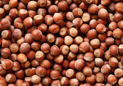 Nocciole: tesori di benessere