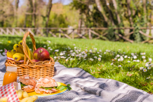 Cosa mangiare per un pic nic se sei a dieta?