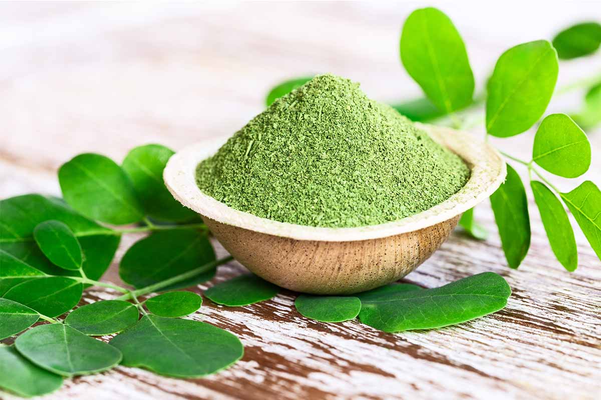 Moringa oleifera: proprietà, benefici e come integrarla nella dieta