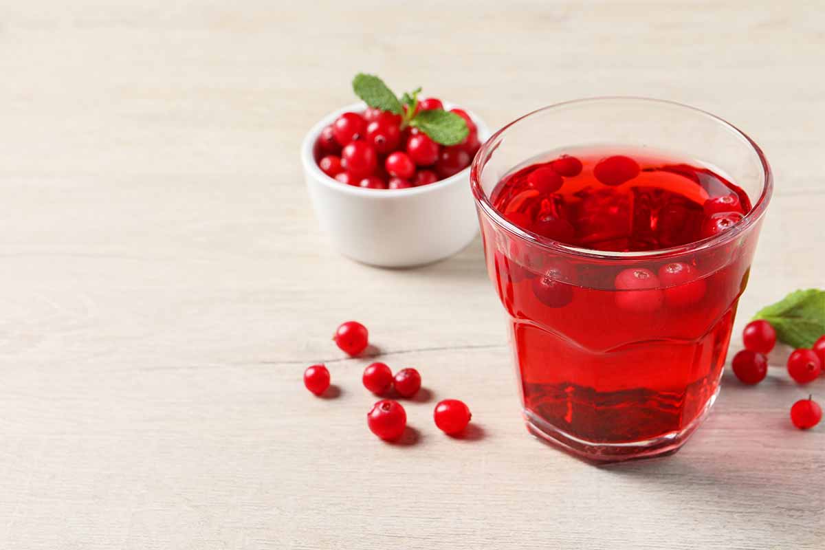 Succo di mirtillo rosso