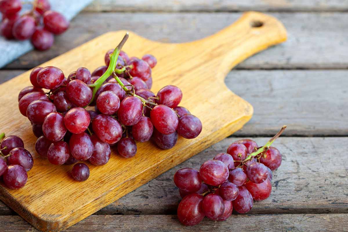 Vite rossa: proprietà e benefici su gambe gonfie