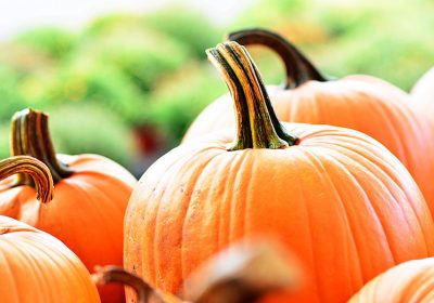Proprietà e benefici della zucca: l’ortaggio dell’autunno